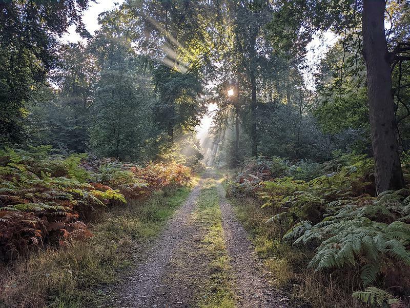 Sortie côté Est de rouen