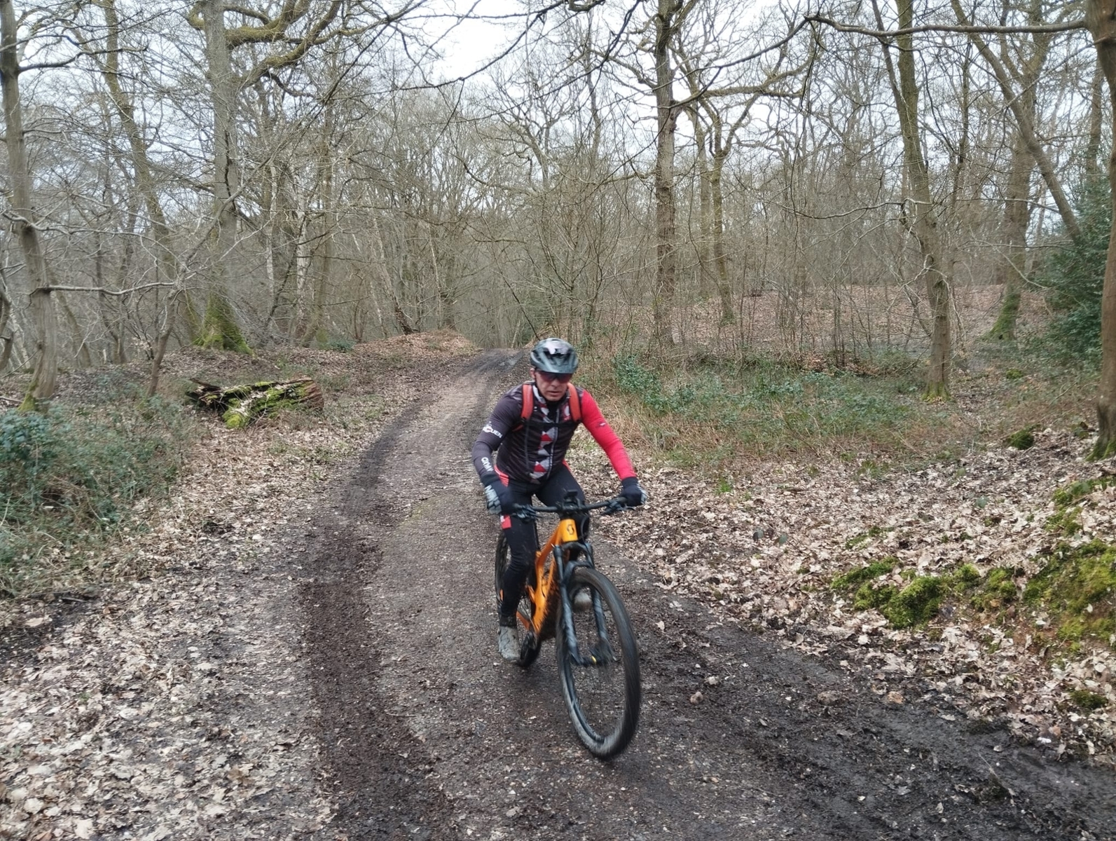 Quincampoix by Claudine