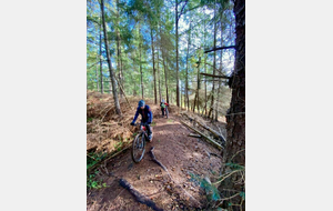 Canteleu piscine (Franck)