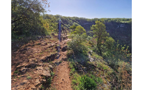 Vacances de printemps dans l'Aveyron- Forêt du Rouvray...