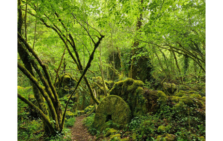 La dernière dans l'Aveyron